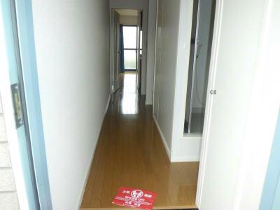 玄関　右側の扉はシューズボックス。