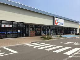 ドラックストア　カワチ薬品野村店（ドラッグストア）まで478m