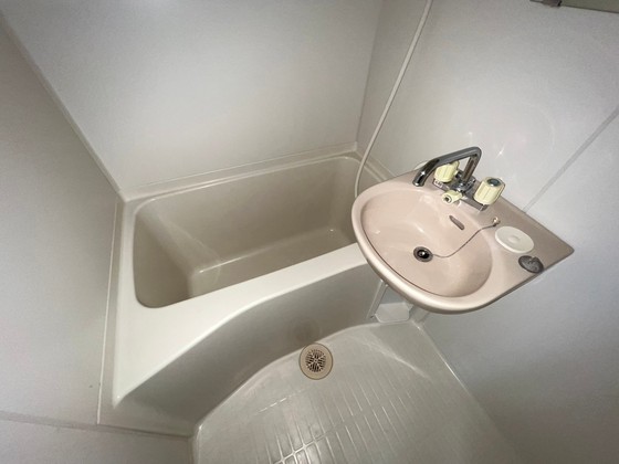 バス・シャワールーム　※別部屋の写真です