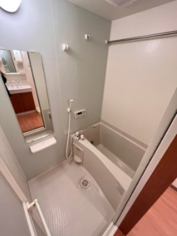 バス・シャワールーム　画像は別号室。ご参考にどうぞ