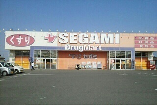 ドラックストア　ドラッグマートセガミさん（ドラッグストア）まで800m