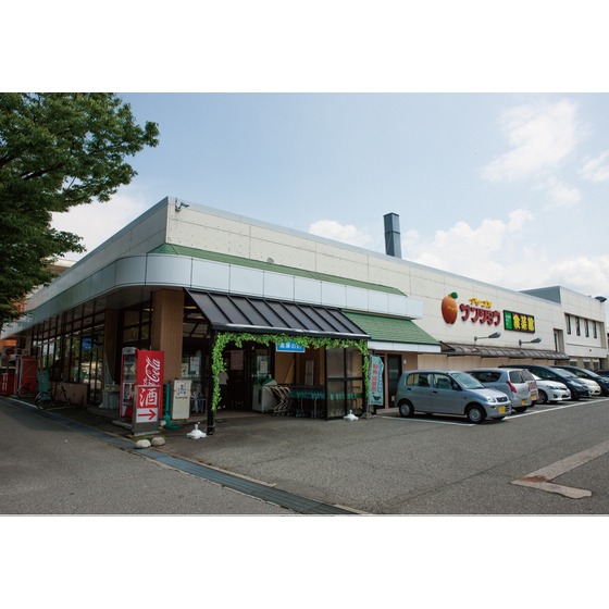 スーパー　アップルサンショウ新根塚町店（スーパー）まで1200m