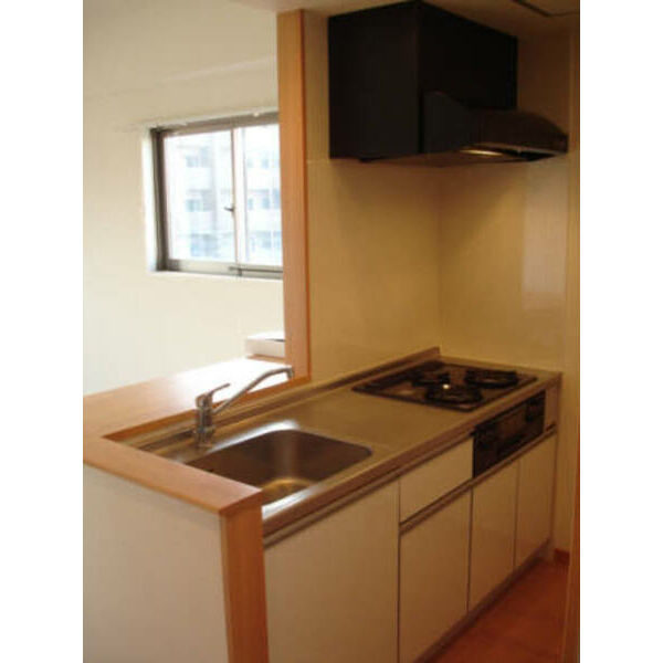 キッチン　ハピネス車道303 キッチン