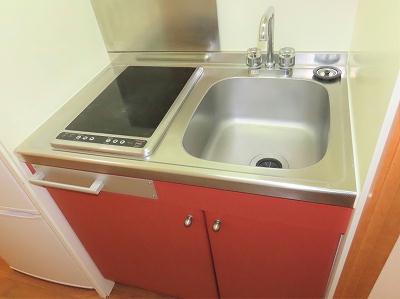 キッチン　2口の電気コンロまたはIHコンロとなります