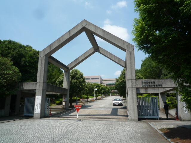 大学・短大　私立昭和薬科大学（大学・短大）まで531m