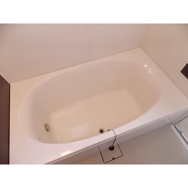 バス・シャワールーム　室内写真は別部屋の写真です。