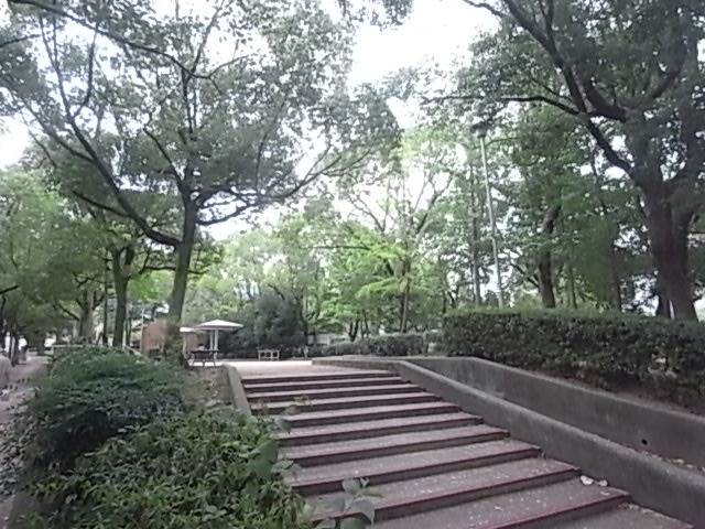 公園　都賀川公園（公園）まで666m