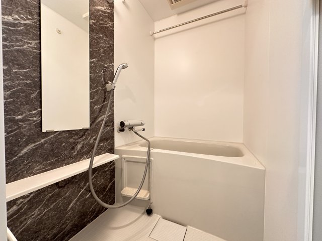 バス・シャワールーム　同一タイプです。