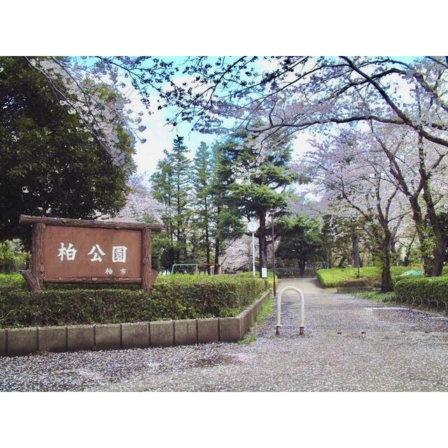 公園　柏公園（公園）まで800m