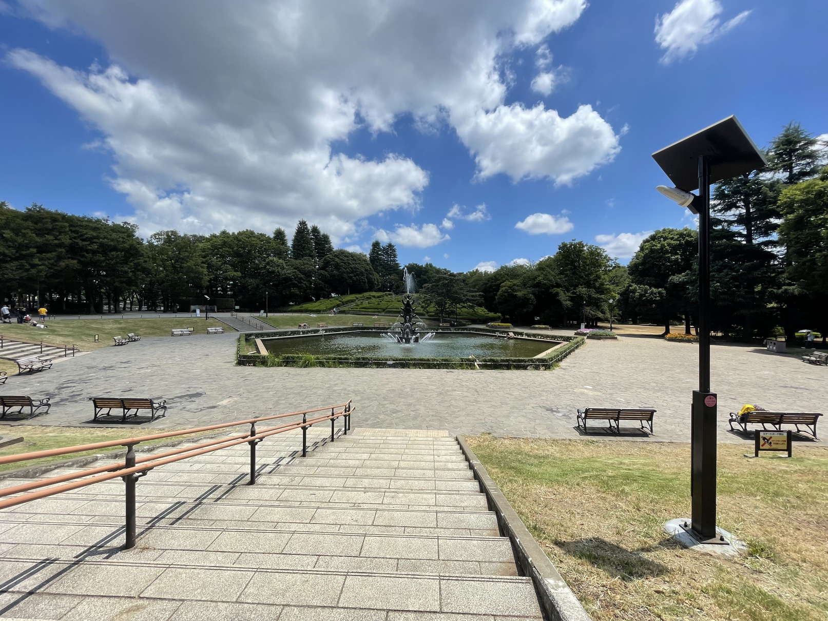 公園　世田谷公園（公園）まで804m