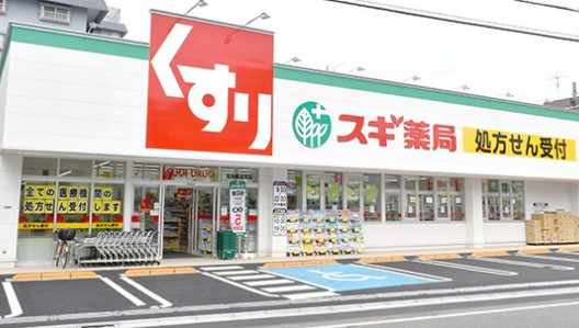 ドラックストア　スギ薬局 練馬豊玉店（ドラッグストア）まで788m