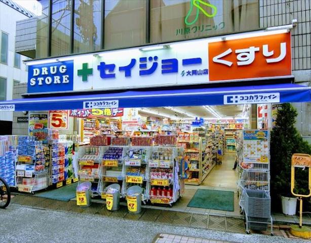 ドラックストア　セイジョー大岡山店（ドラッグストア）まで494m