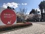 大学・短大　私立日本大学工学部（大学・短大）まで1181m