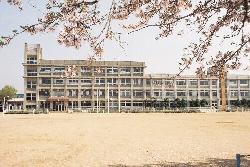 小学校　姫路市立　安室小学校（小学校）まで491m