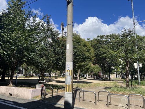 公園　堀江公園（公園）まで488m