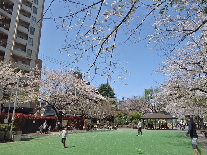 公園　広尾公園（公園）まで220m