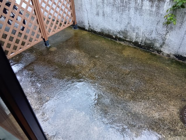 庭