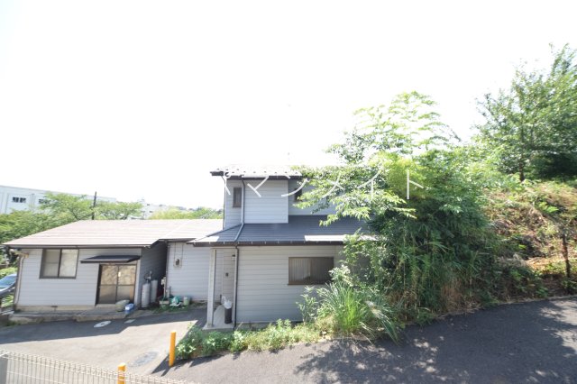 アムールシュシュIIのその他写真