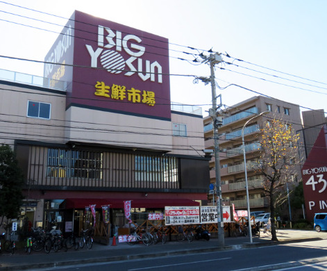 スーパー　ビッグヨーサン 綱島樽町店（スーパー）まで829m