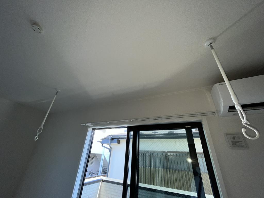 SeleneIIのその他写真