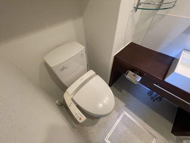 トイレ　同物件別部屋写真