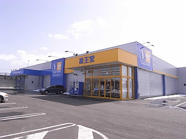 ドラックストア　薬王堂宮城柴田店（ドラッグストア）まで1007m