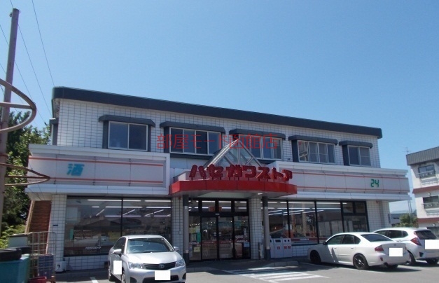 その他　ハセガワストア（その他）まで500m