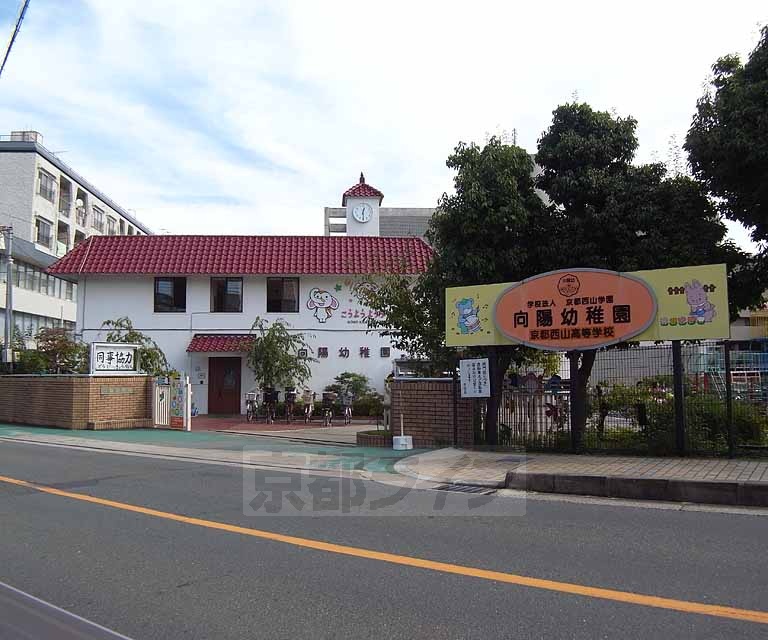 幼稚園・保育園　向陽幼稚園（幼稚園・保育園）まで450m