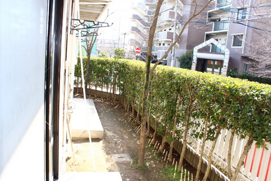 庭　※別号室の写真です