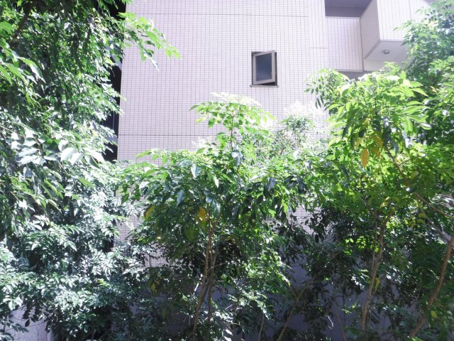 眺望　他のお部屋の参考写真となります。