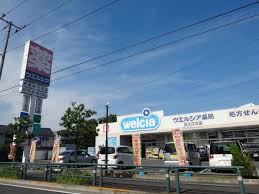 ドラックストア　ウエルシア足立江北店（ドラッグストア）まで700m