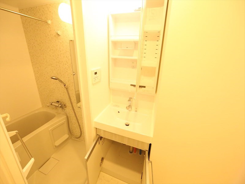 洗面設備　脱衣所　独立洗面台（シャンプードレッサー付）収納スペース有