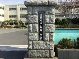 小学校　市原市立白金小学校（小学校）まで739m