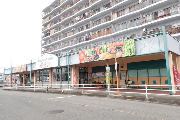 スーパー　スーパーはやし 富木店（スーパー）まで523m