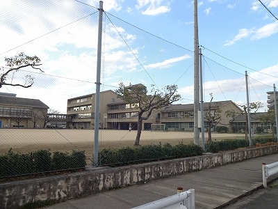 小学校　藍住東小学校（小学校）まで260m