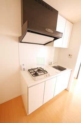 キッチン　レニール本駒込のキッチン