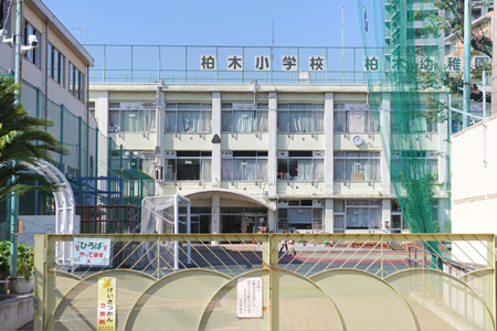 小学校　八王子市立 柏木小学校（小学校）まで450m