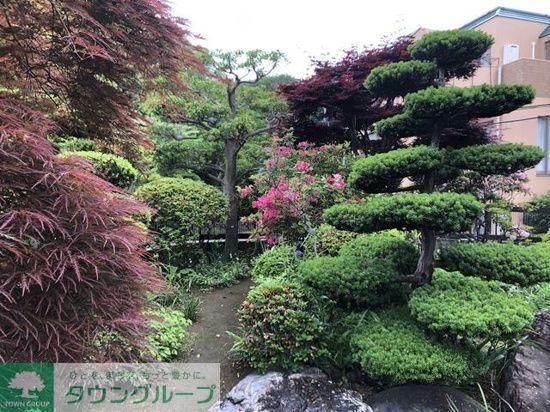 庭