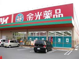 ドラックストア　金光薬品倉敷林（ドラッグストア）まで972m