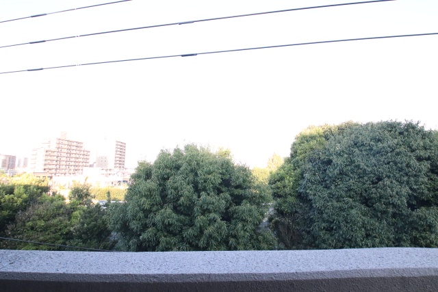 眺望　※別部屋の参考写真の為、原状優先です。