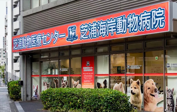 病院　芝浦動物医療センター 芝浦海岸動物病院（病院）まで513m