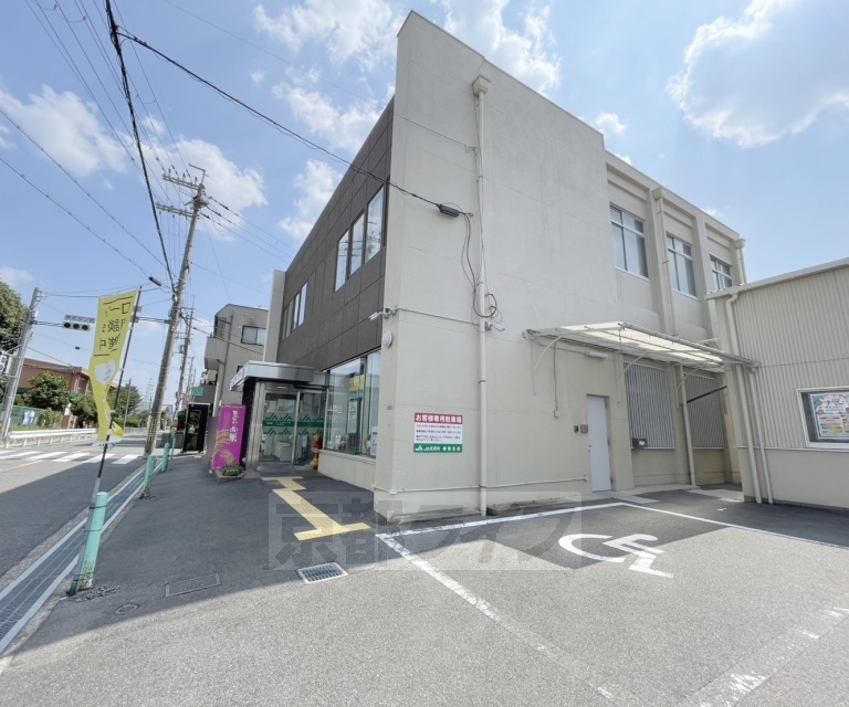 銀行　ＪＡ北河内樟葉支店（銀行）まで517m