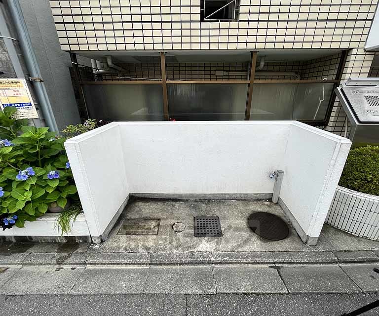 庭