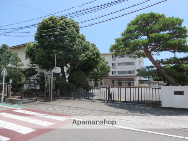 小学校　青島東小学校（小学校）まで1353m