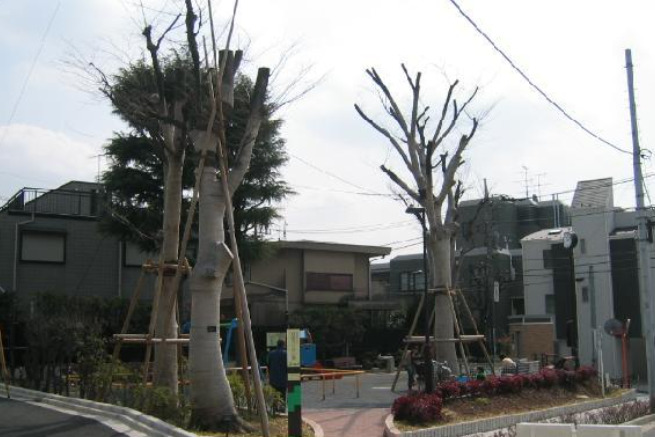 公園　経堂けやき公園（公園）まで4320m