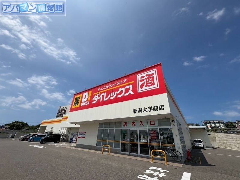 ドラックストア　ダイレックス新潟大学前店（ドラッグストア）まで585m