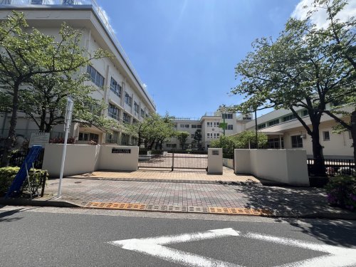 小学校　葛飾区立松上小学校（小学校）まで533m