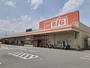 スーパー　ザ・ビッグ甲府長松寺店（スーパー）まで1300m