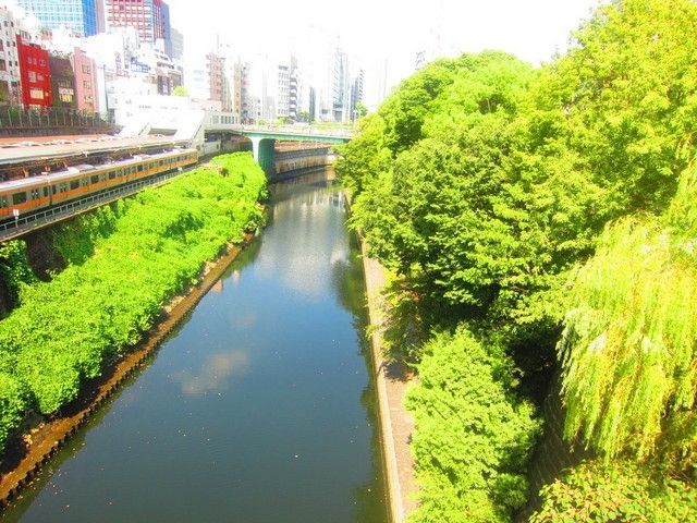 その他　聖橋からお茶の水橋（その他）まで560m