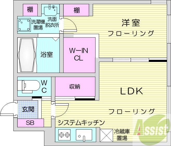 ＪＲ函館本線 桑園駅 徒歩13分 5階建 築3年の間取り写真